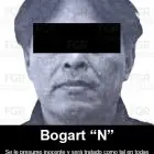 Bogart N