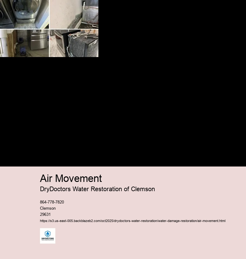 Types of air movement equipment