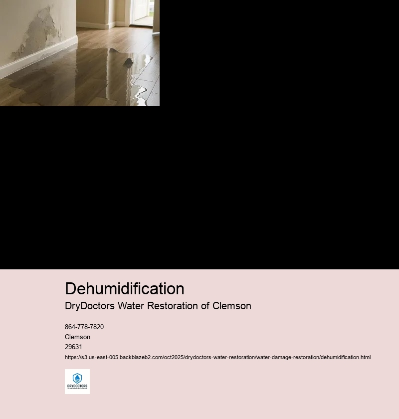Benefits of Dehumidification in Water Damage Restoration