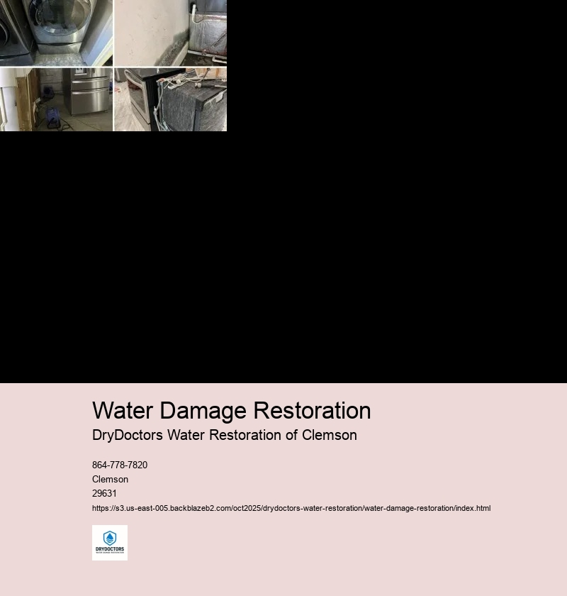 Drying and Dehumidification Process