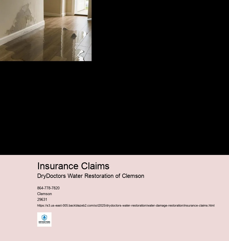 Documenting the Water Damage