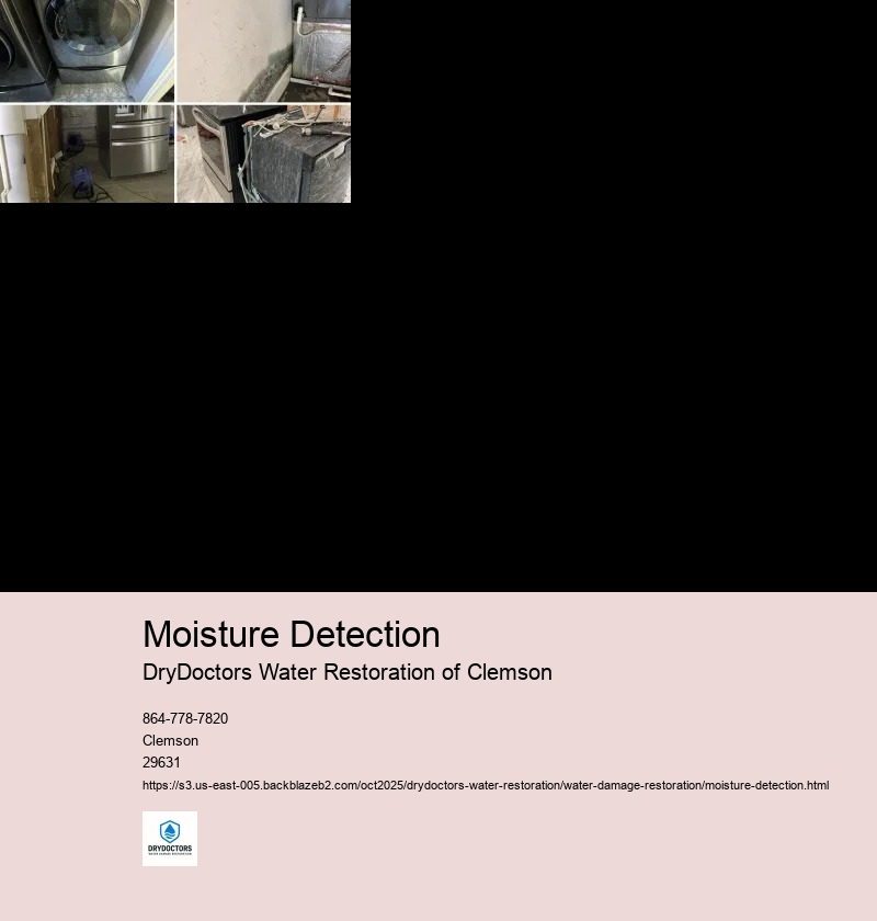 Importance of Moisture Detection in Water Damage Restoration
