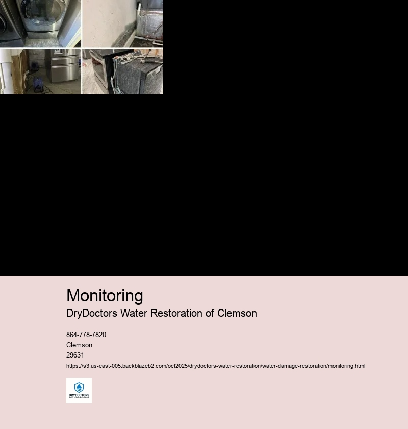 Importance of Monitoring in Water Damage Restoration