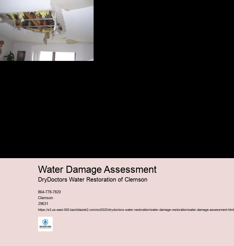 Identifying the Source of Water Damage