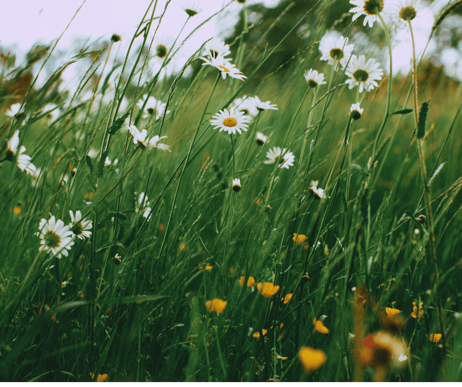 Why Two-Story Homes in Crabapple Always Have a Hot Upstairs