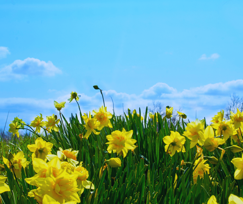 Why Your AC Is Blowing Warm Air