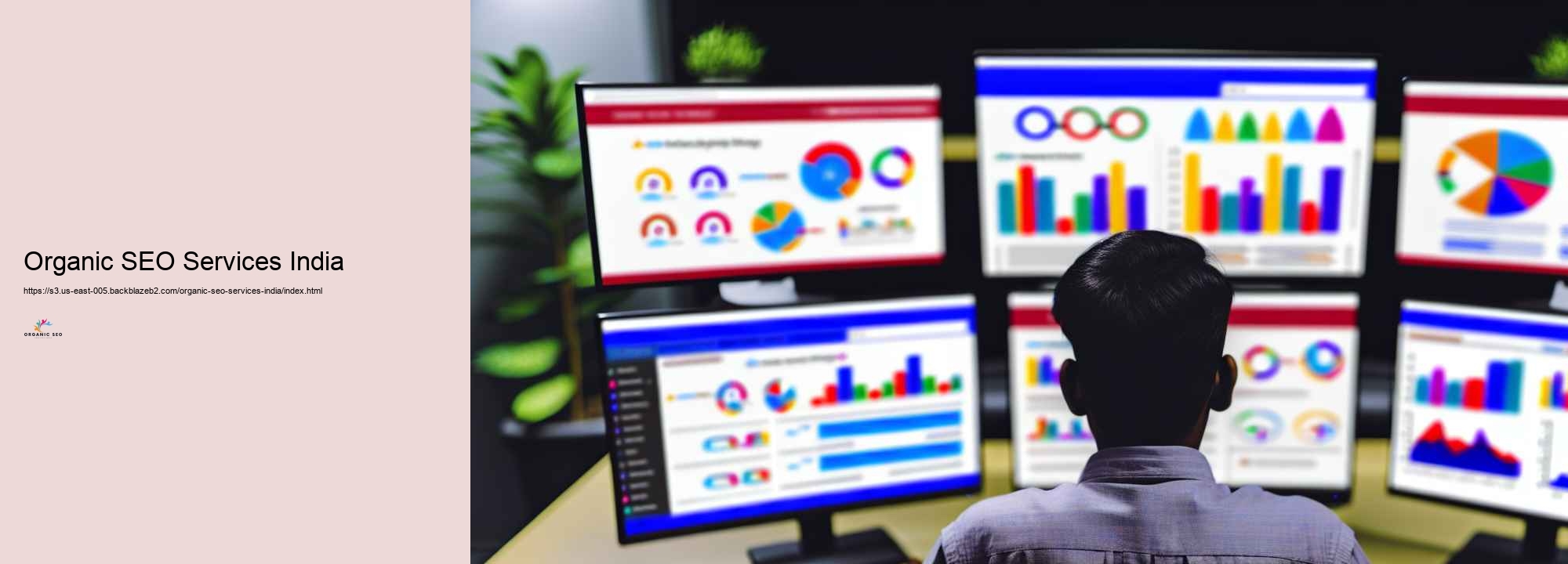 Rise Your Organic Web traffic with Expert SEO Solutions in India