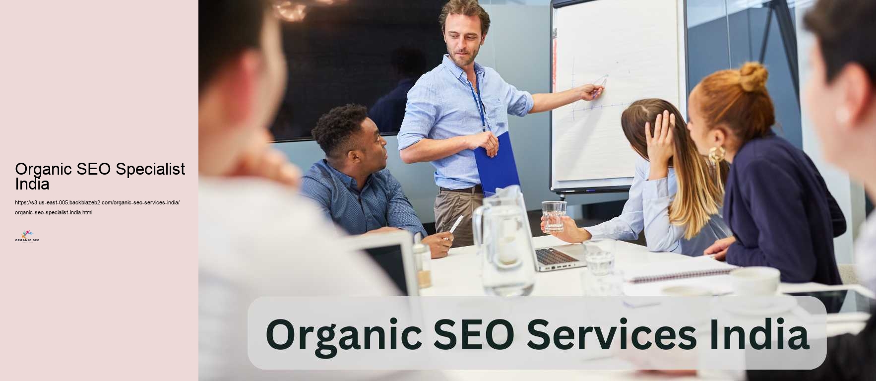 Organic SEO Specialist India