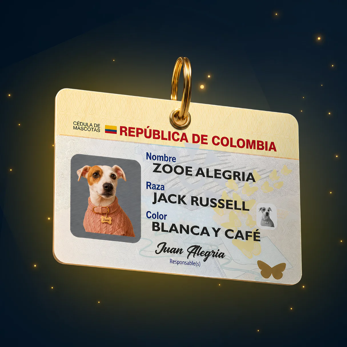 Placa de Mascota