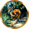 Canguro