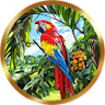 Guacamaya