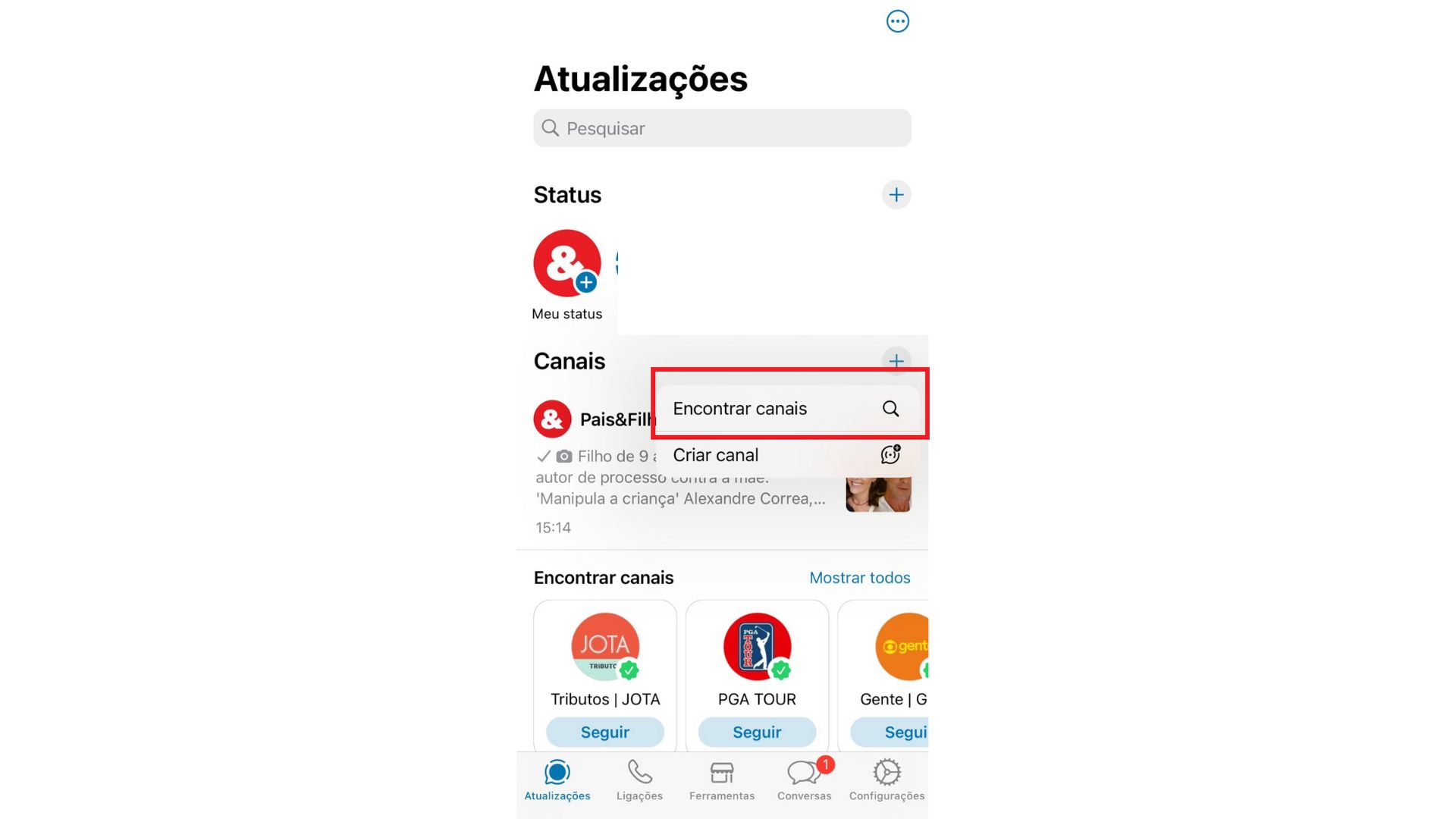 canal whatsapp