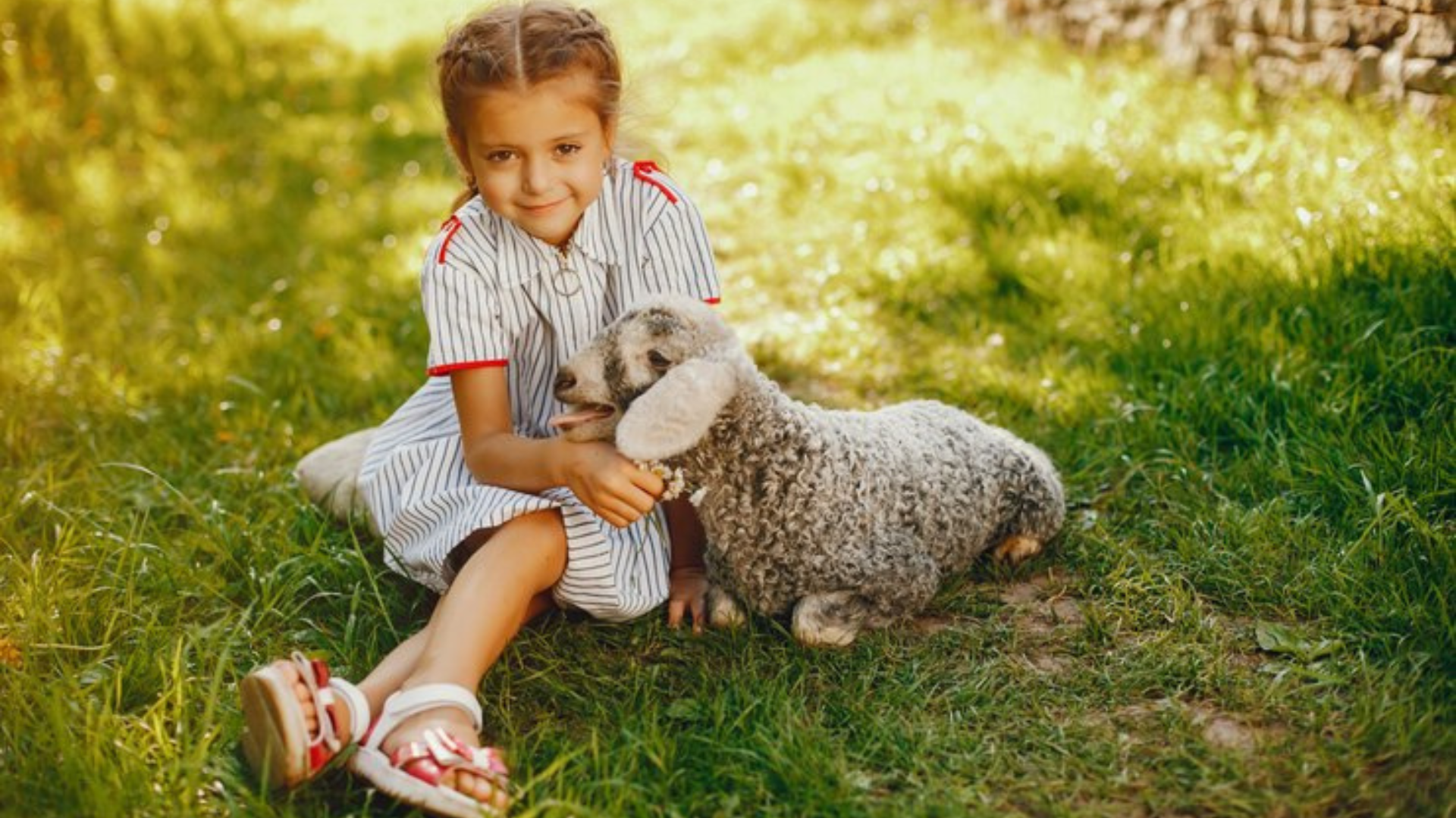 Criança com animal