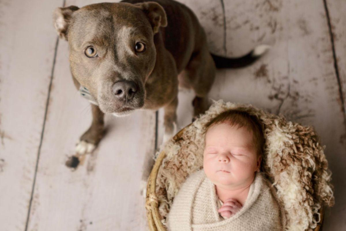Belle com o bebê