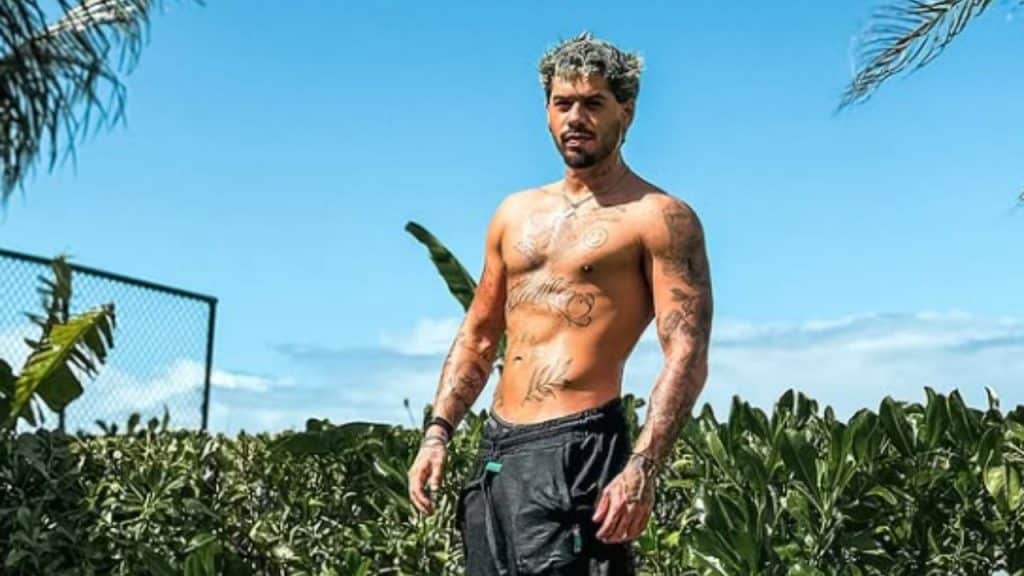 Bella Campos e Zé Felipe interagem nas redes sociais e seguidores ...
