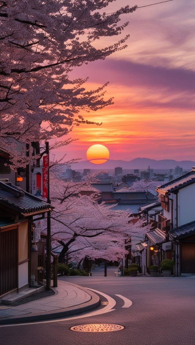 Angelfish Kelasijukin