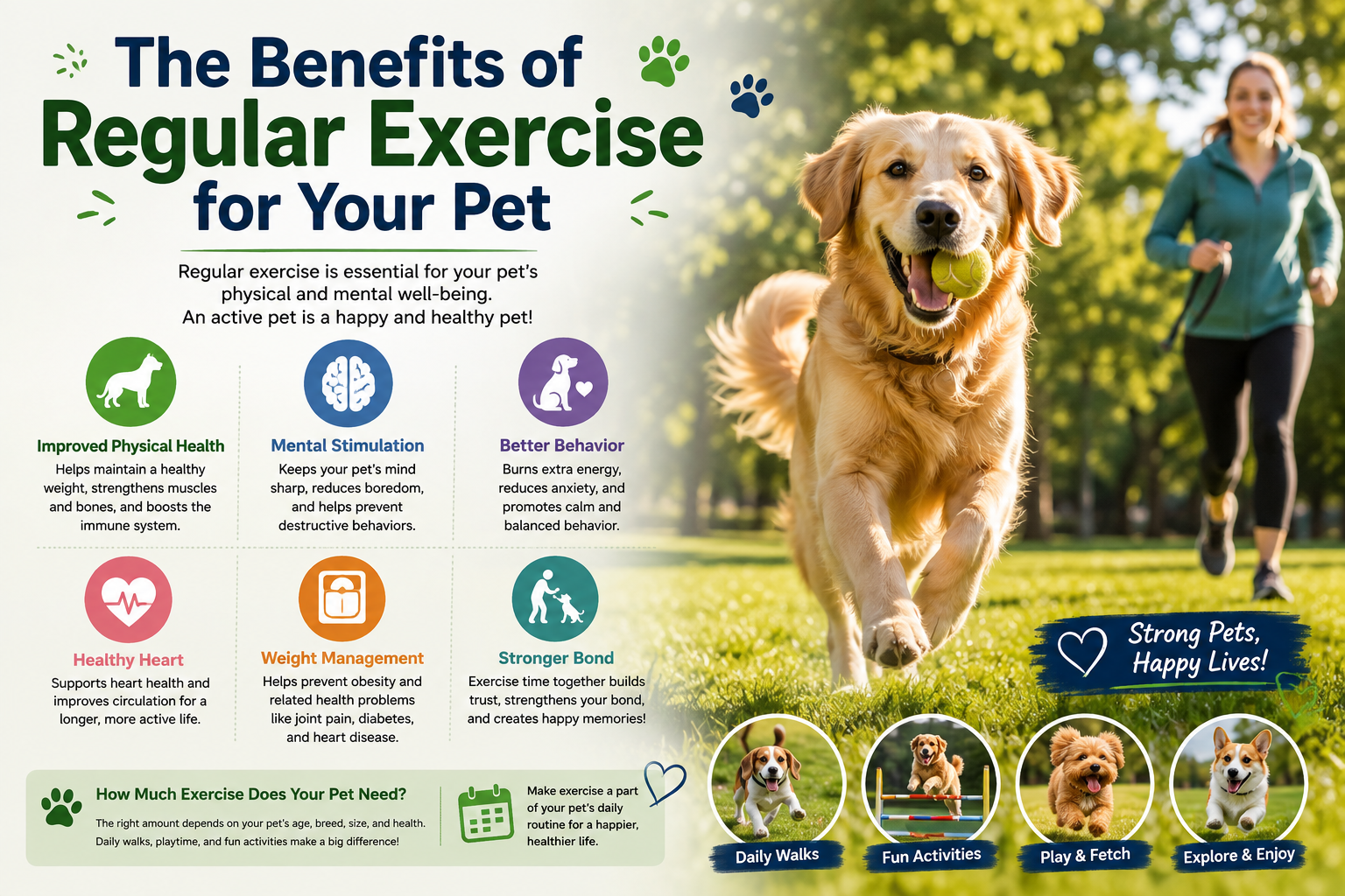 The Benefits of Regular Exercise for Your Pet