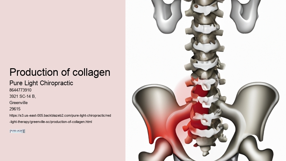 Production of collagen