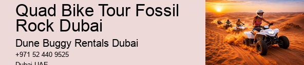 Quad Bike Tour Fossil Rock Dubai