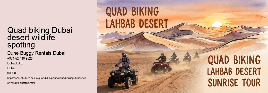 Quad biking Dubai desert wildlife spotting