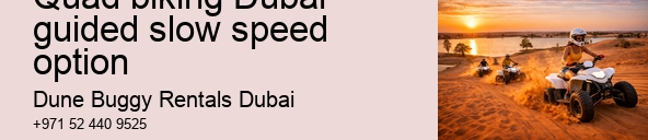Quad biking Dubai guided slow speed option