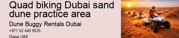 Quad biking Dubai sand dune practice area