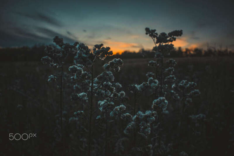 
500px provided description: Wisconsin/Upper Peninsula photos [#landscape ,#lake ,#girl ,#tree ,#beautiful ,#fall ,#photography ,#camping ,#michigan ,#amazing ,#wisconsin ,#madison ,#Nature]