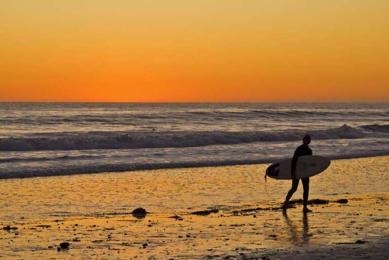 Surfer
