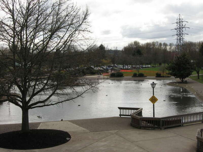 Alton Baker Park, from the Peter DeFazio Bike Bridge.