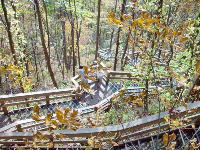 Amicalola falls Stairs 9-11-2005