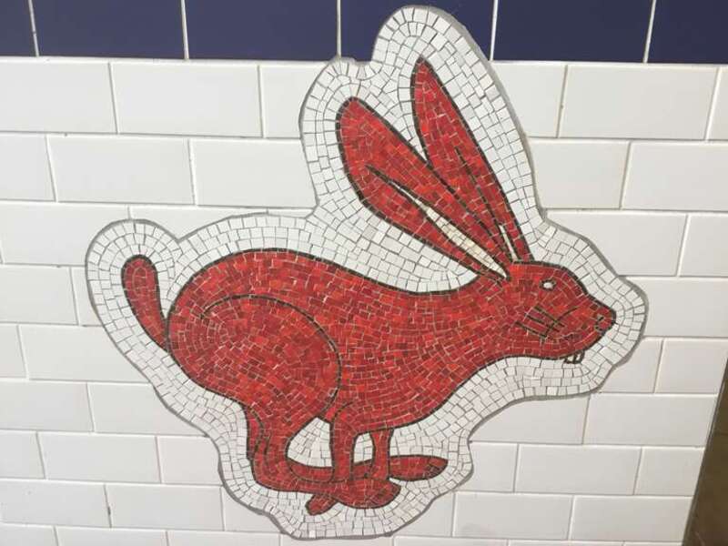 Bird Laid Bare art at Avenue J