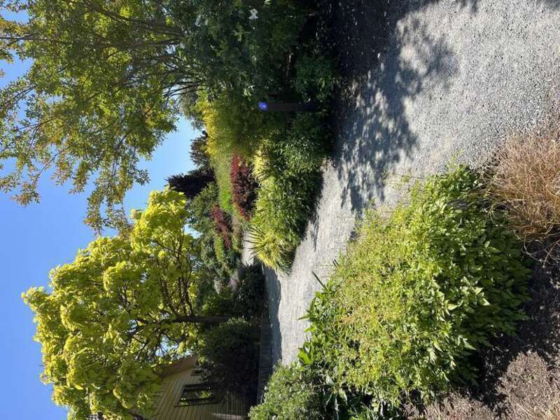 Bellevue, WA