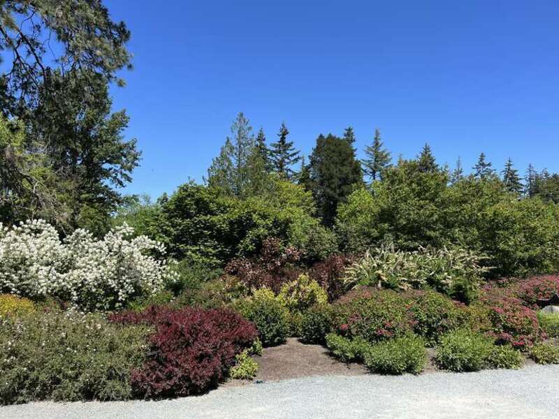 Bellevue, WA