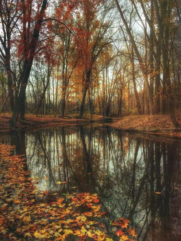 Burton, United States