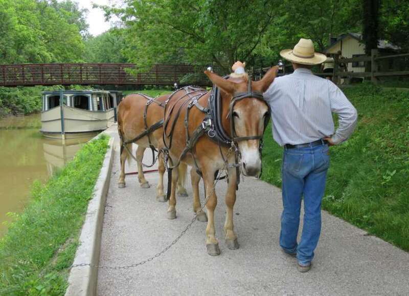 Canal Boat &amp; Mule Team - Providence Metropark, OH