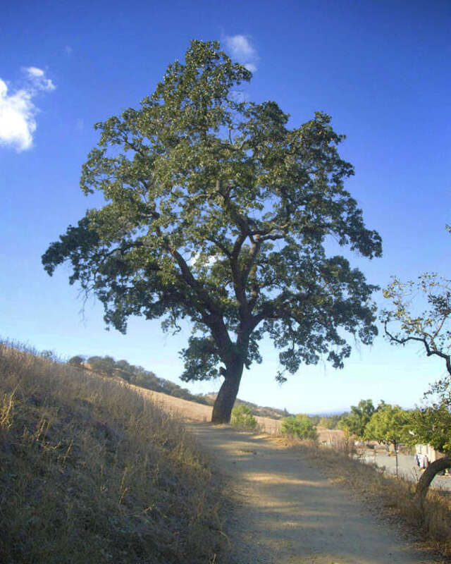 Castle Rock Regional Park