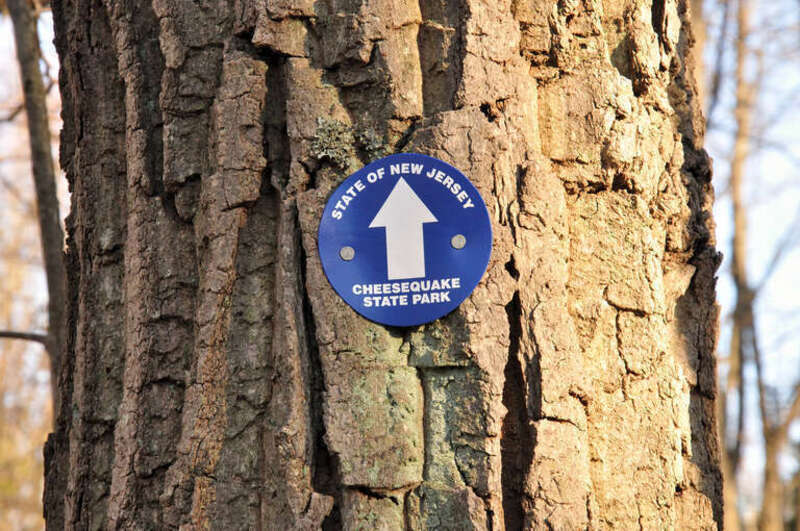Cheesequake, Cheesequake State Park, Matawan, NJ, USA