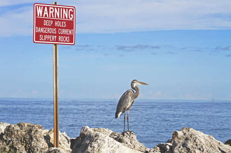 Clearwater, United States