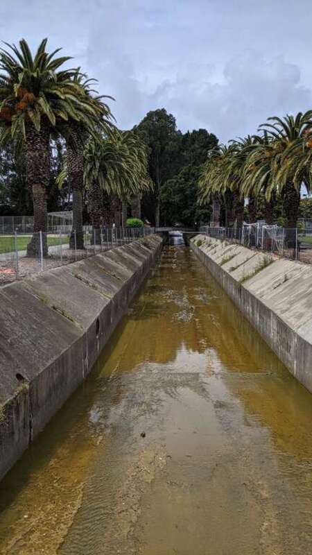 Colma Creek at Orange Memorial Park, looking northwest into the park