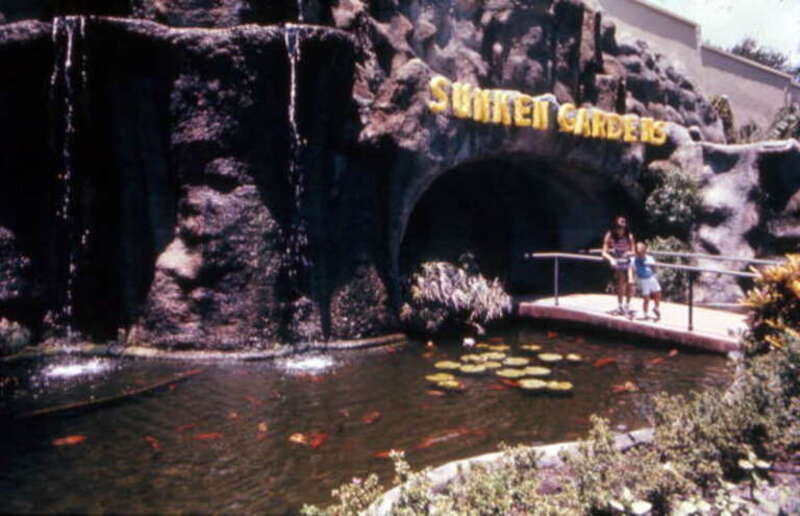 Local call number: COM03312
Title: Coy pond at the entrance to the Sunken Gardens: St. Petersburg, Florida
Date: ca. 1980
General Note: The Gardens began in 1903, when plumber and avid gardener George Turner Sr. purchased the six acres that would