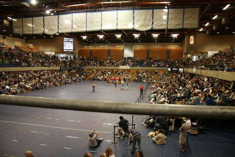 UC Davis Pavilion during "Doxie Derby" Dachshund race, annual Picnic Day fund-raiser for the School of Veterinary Medicine.
