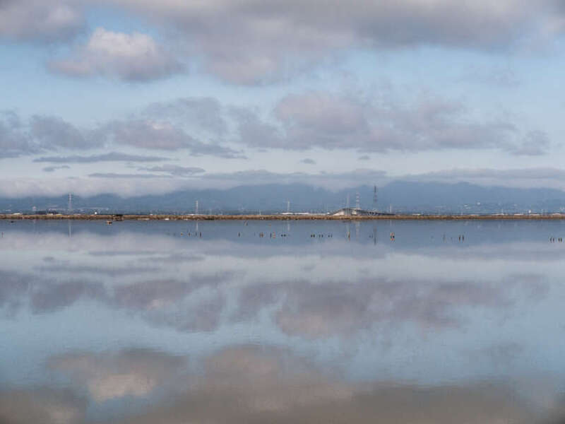 Dumbarton Bridge