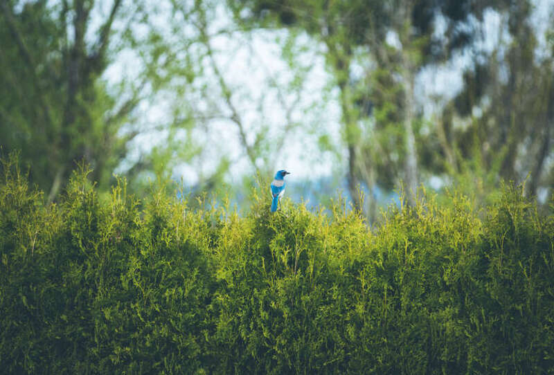 Eugene, United States