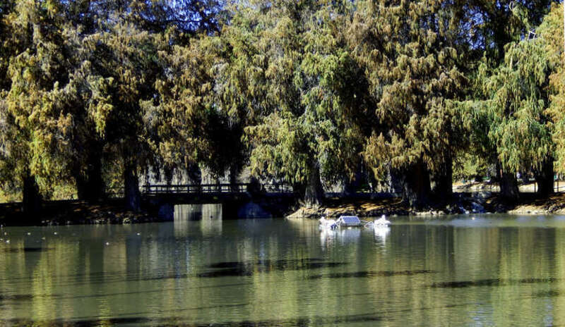 Fairmount Park, Riverside, California, USA, bridge over passage from Fairmount Lake to Lake Evans (added in 1924)