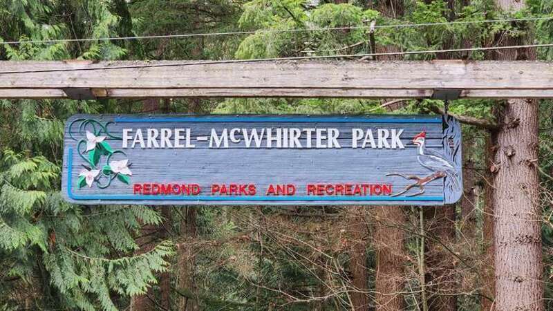 Farrel-McWhirter Park, Redmond, Washington