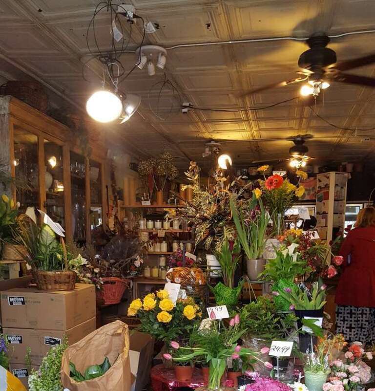 Take time to smell the flowers when you're on 3rd Street between State and Congress streets. Flower World is a wonderful flower shop located next to the Dunkin' Donuts. The Capital District Tourism Gnome really enjoyed his time there.