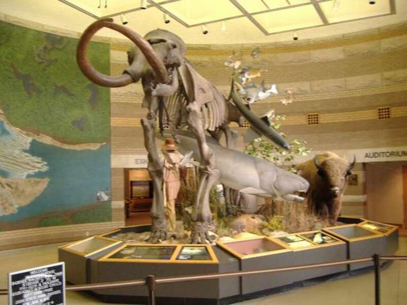 The lobby area of the Interpretive Center of Falls of the Ohio State Park, in Clarksville.