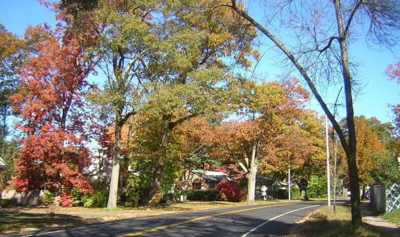 Furnace Brook Parkway, Quincy, MA
