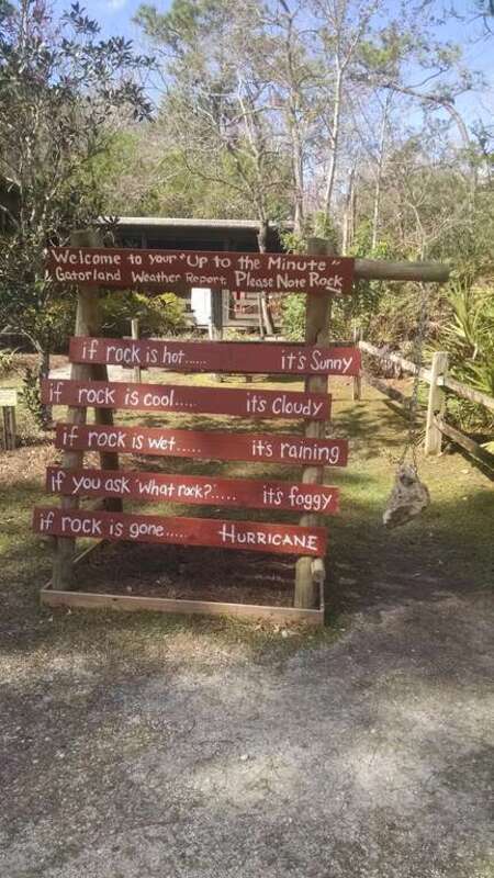 Gatorland