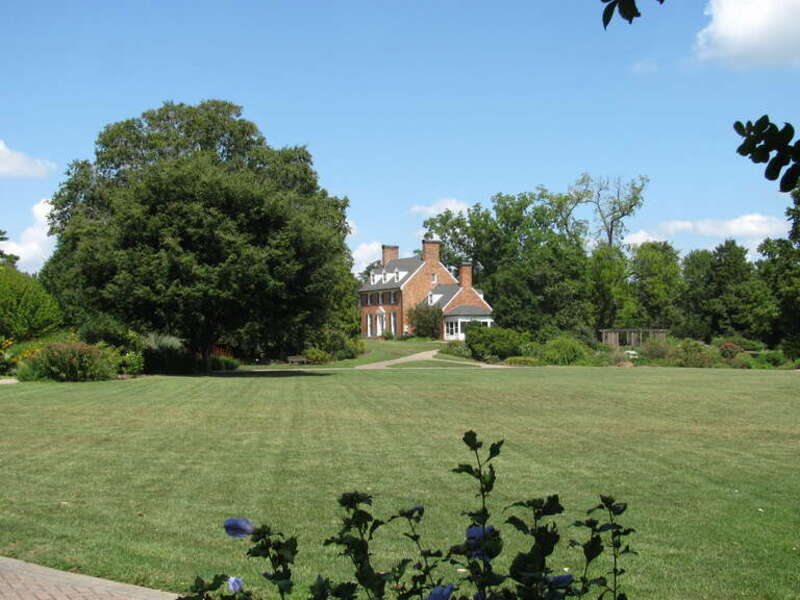Green Spring